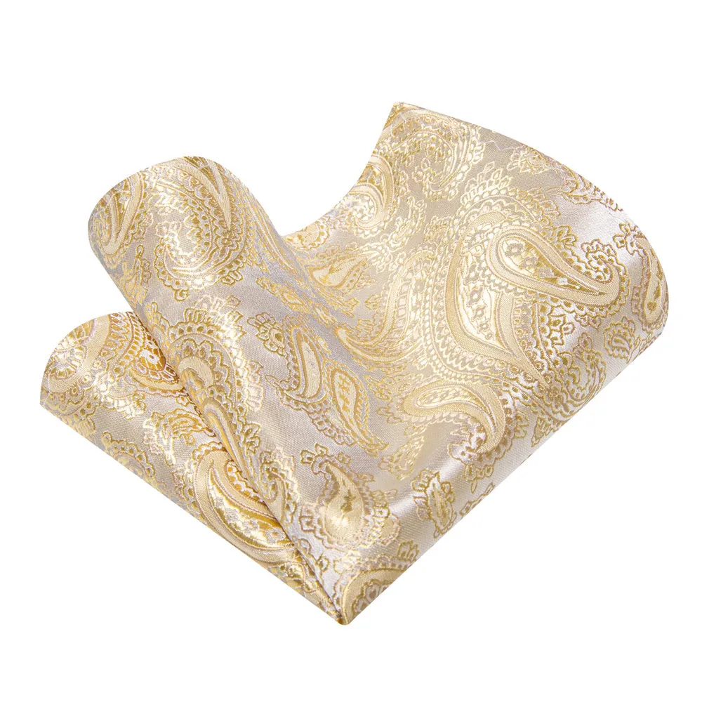YourTies Beige Tie Paisley Neck Tie Light Blue Brooch Set with Clip